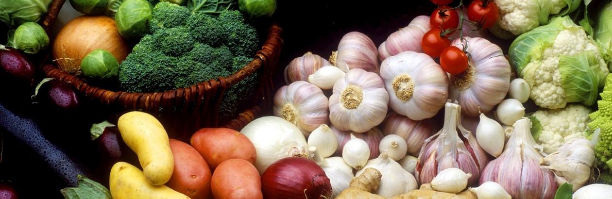 Fabryka Siły - Dieta wegetariańska – czy jest zdrowa i sprawdzi się podczas odchudzania?
