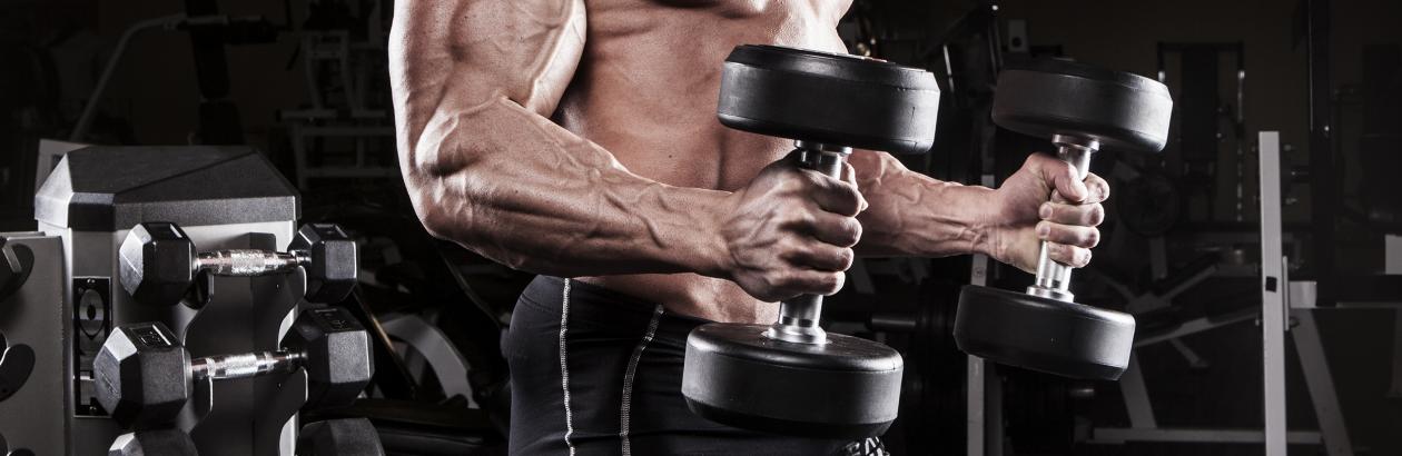 Fabryka Siły - Hi-Anabol Protein – suplement, który pozwala rozbudować sylwetkę