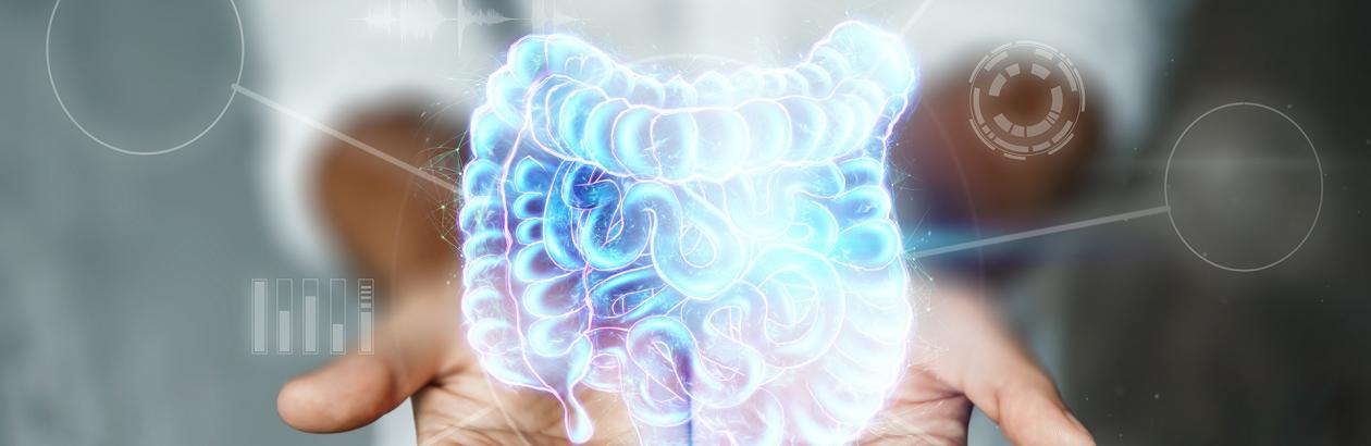 Fabryka Siły - Mikrobiota – jak wpływa na układ odpornościowy i zdrowie organizmu